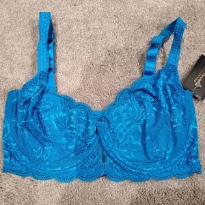 Fredricks Of Hollywood Lace Underwire Bra in Blue
